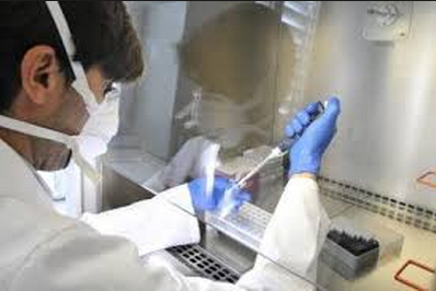 'Resucitan' virus antiguos para intentar mejorar las terapias génicas