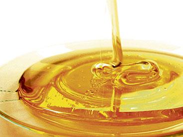 La miel: oro líquido