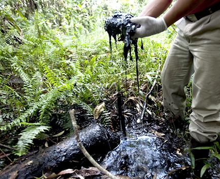 Ecuador apelará fallo de Chevron
