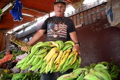Plátano se madura antes de venderse