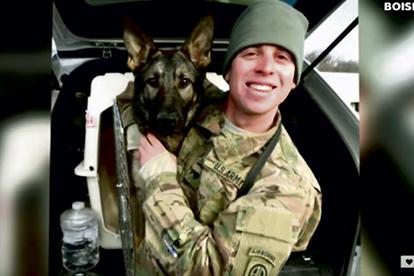 Soldado se reencuentra con el perro que lo acompañó en la guerra (VIDEO)