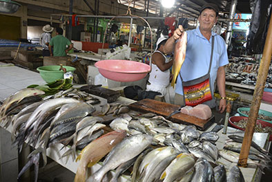 Los mariscos viajan desde otros cantones | El Diario Ecuador