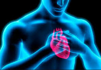 Hallan nuevas características genéticas asociadas al infarto de miocardio