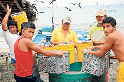 Inician pesca en la misma situación en Crucita