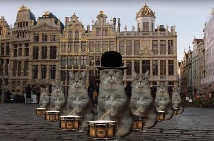 Bruselas usa a los gatos de Twitter para promocionar el turismo