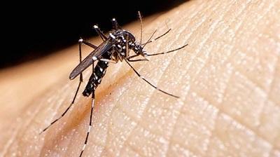 Confirman dos casos autóctonos del virus del Zika en México