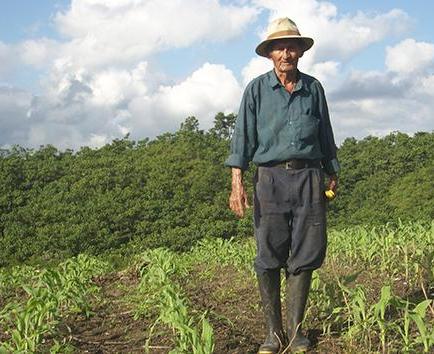 Julito Pincay, a sus 90 años, cambió el café por el maíz