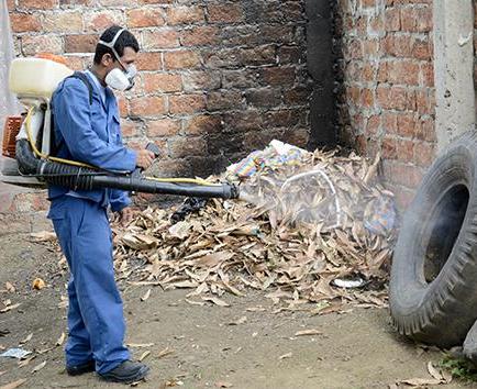 17 casos de zika y 51 de dengue en Portoviejo