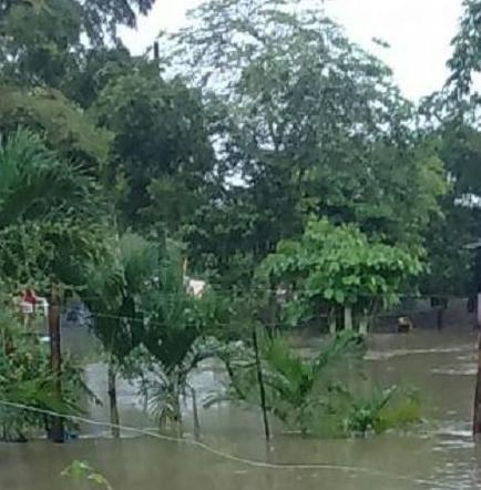 Parroquias de Portoviejo afectadas por inundaciones tras fuerte aguacero
