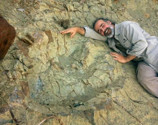 Hallan mayor huella de un dinosaurio carnívoro en sur de Bolivia