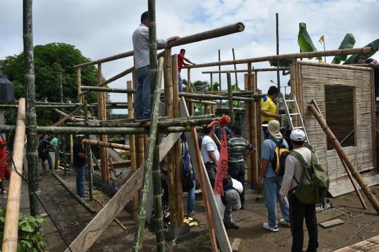 Aprueban norma para construcción en Caña Guadúa