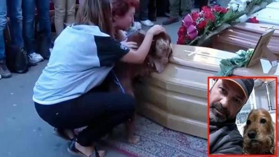 Emotiva despedida de un perro a su amo muerto en el terremoto de Italia