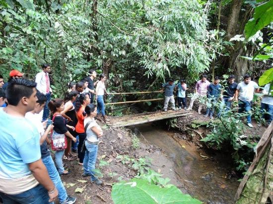 Vuelven las caminatas ecológicas en el parque Mariano Chancay