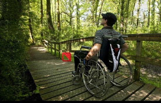 La Organización Mundial del Turismo pide medidas para los discapacitados