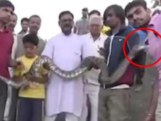 Resulta herido tras posar con una serpiente para ‘selfie’