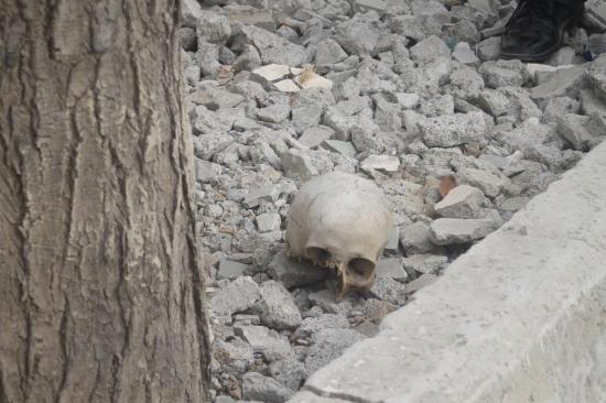 Hallan cráneo cerca de una unidad educativa en el sitio San Juan de Manta