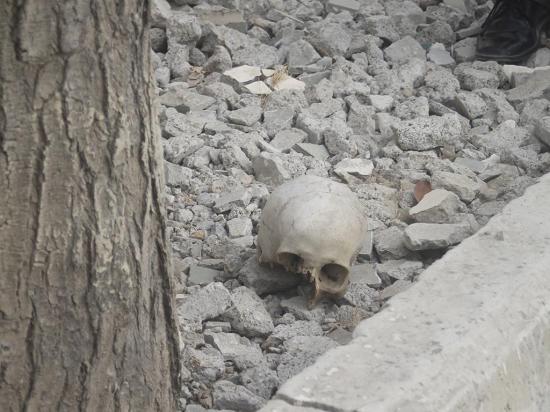 Encuentran un cráneo cerca de una escuela