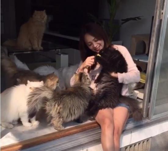 Michelle, la joven que dedica su vida a cuidar de sus gatos