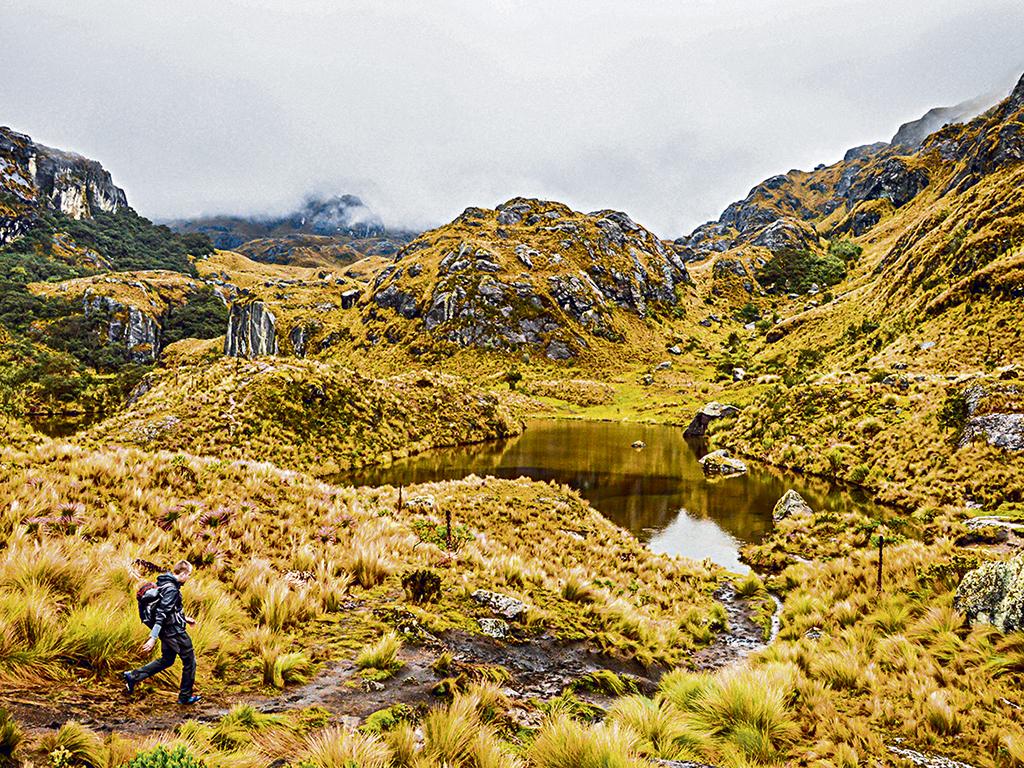 El Cajas Un Parque único El Diario Ecuador 1452