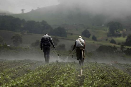 FAO prevé fuerte disminución de lluvias en Latinoamérica a fines de siglo