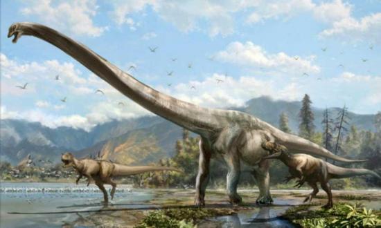 Descubren una nueva especie de dinosaurio de cuello largo en Australia