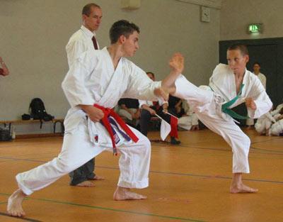 Hoy se celebra el Día Mundial del Karate