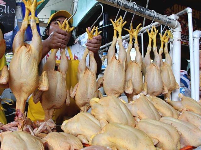 Comerciantes alteran el precio de los pollos inflándolos con la boca | El  Diario Ecuador