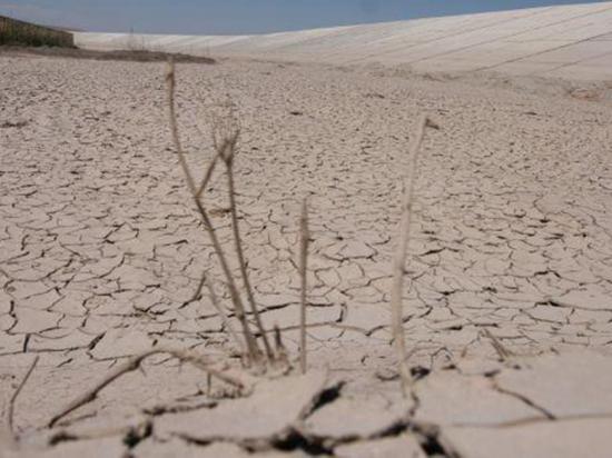 Declaran estado de emergencia en quince regiones por sequía