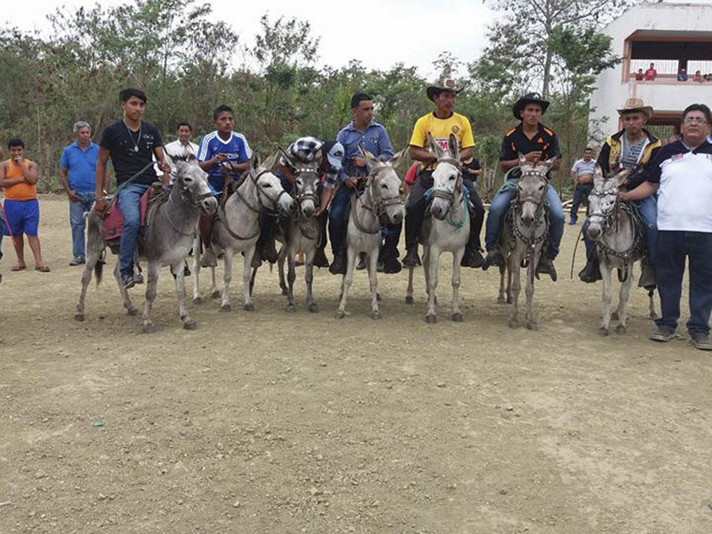 Con carrera de burros celebran | El Diario Ecuador