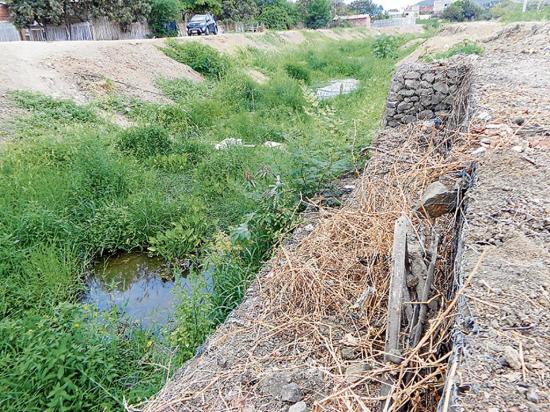 Aguas verdes afectan  a moradores de la ciudadela Las Orquídeas