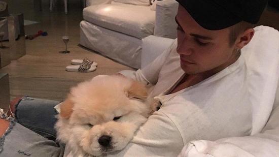 Justin Bieber es criticado por regalar a su mascota enferma