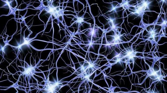 Las neuronas ayudan al desarrollo del cáncer en el cuerpo, según un estudio