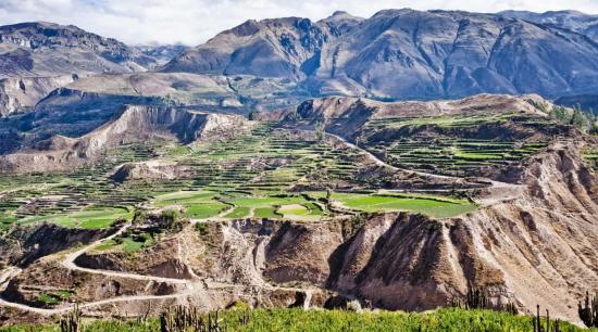 Crearán miradores turísticos para observar proceso eruptivo de volcán peruano