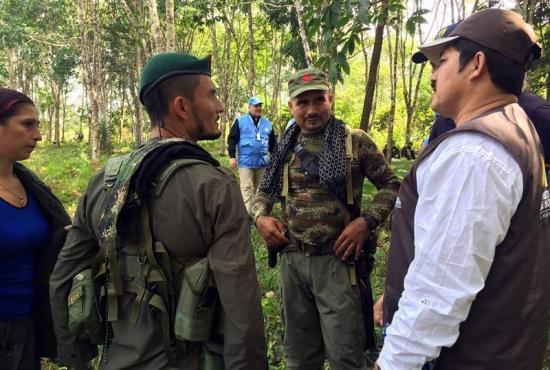 Los guerrilleros de las FARC iniciarán proceso de entrega de armas en marzo