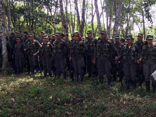 FARC proponen nuevo calendario