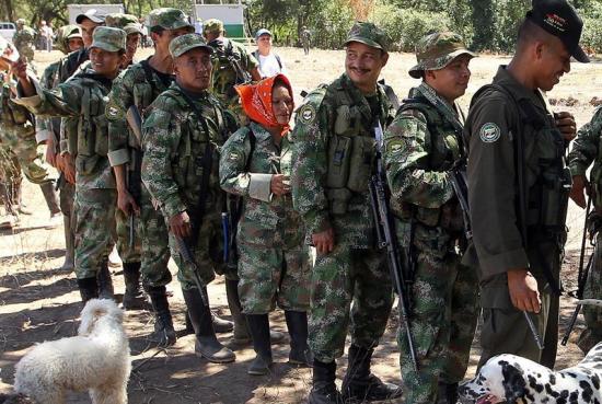 Proceso de dejación de armas de las FARC comenzará mañana