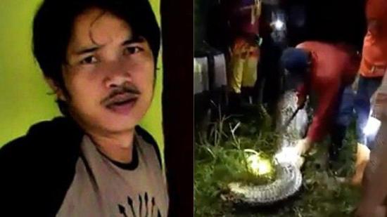 Serpiente pitón se tragó a un joven de 25 años, reportado como desaparecido