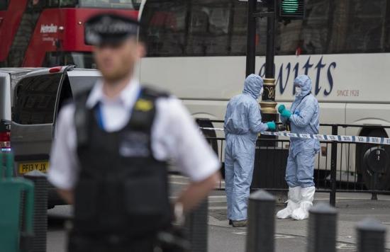 Hombre detenido frente al Parlamento británico es sospechoso de planear atentado