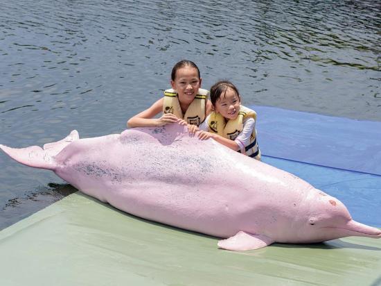 El delfín rosado, en peligro