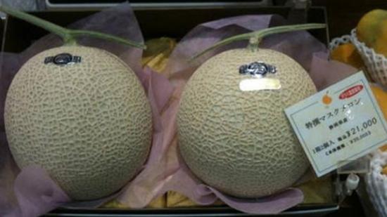 Venden dos melones por más de 13.000 dólares en una subasta en Japón