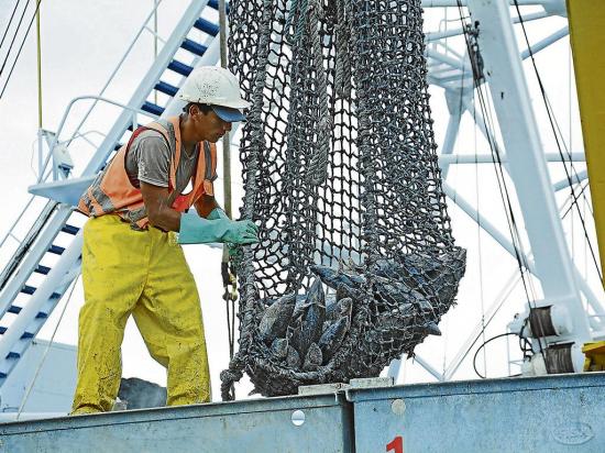 Pescadores temen estar 4 meses sin atún