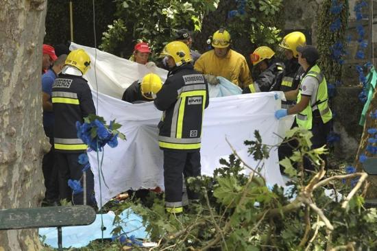 Doce muertos y 50 heridos tras caer un árbol durante una procesión en Portugal