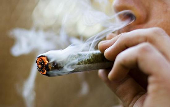 Cannabis podría funcionar como factor en prevención de diabetes, dice experto