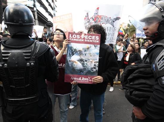 Ecuatorianos protestan ante embajada china por pesca en Galápagos