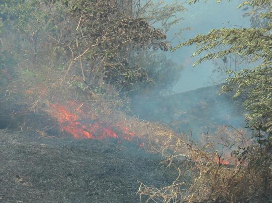 El tercer incendio  forestal en la vía  Portoviejo-Manta