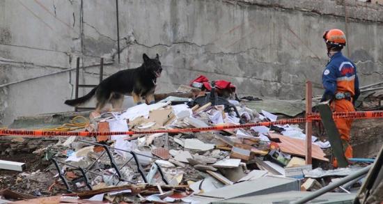 Asciende a 292 el número de víctimas mortales por el terremoto en México