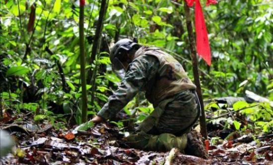 Ecuador ha limpiado un 80 % de las minas de la última guerra con Perú