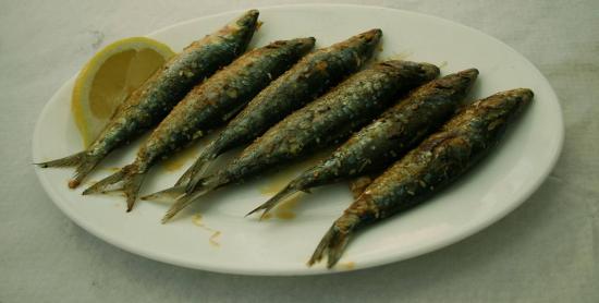 Expertos piden prohibir por completo la pesca de sardinas