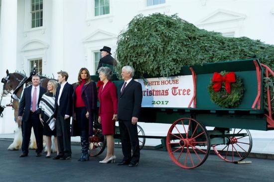 Melania Trump y su hijo reciben su primer árbol navideño de la Casa Blanca