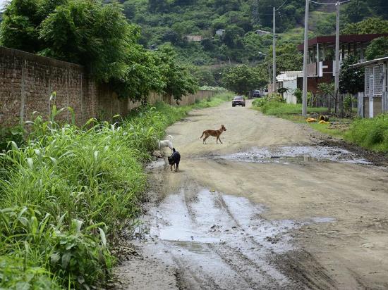 Moradores de la calle Tarqui dicen que nunca han tenido asfalto